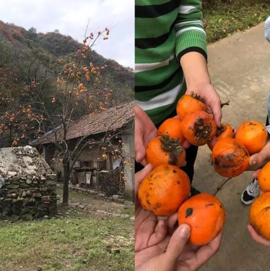 秦嶺團建，為云和聚力 ——云和數據西安中心